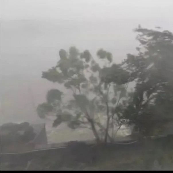 摩羯 考驗輕松過！探秘歐西盾TPO單層屋面系統的抗風之妙